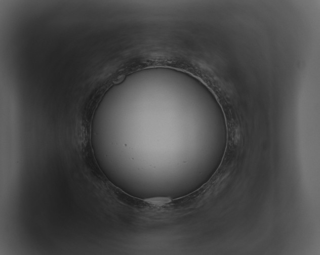 X0000103151253200808291423