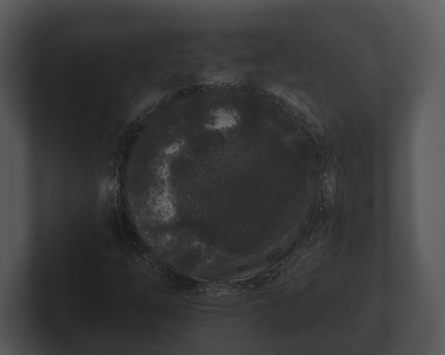 X0000103151254200808291423