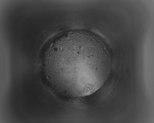 X0000103151255200808291423