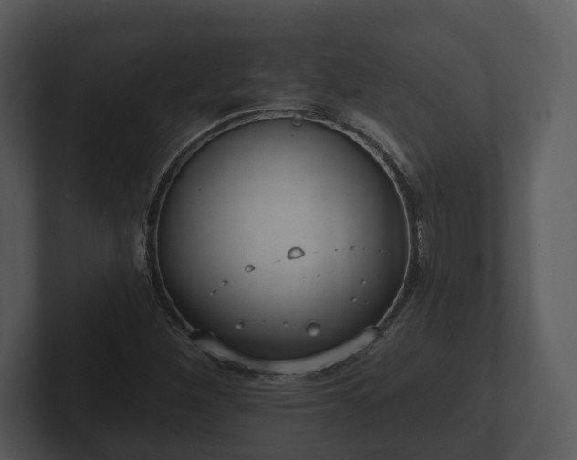 X0000103151260200808291423