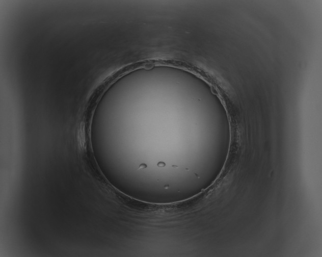 X0000103151262200808291423