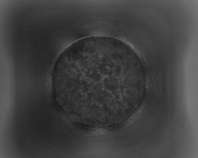 X0000103151263200808291422