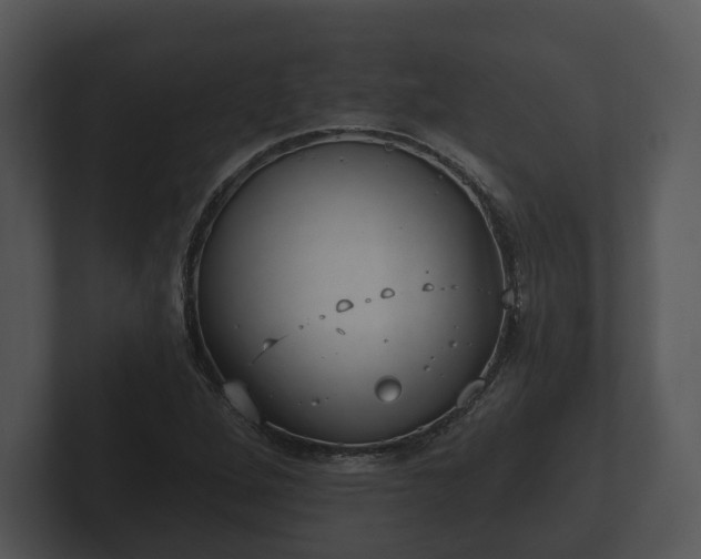 X0000103151264200808291422