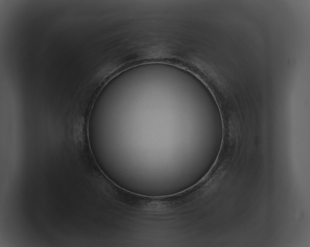 X0000103151265200808291422