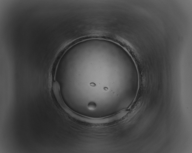 X0000103151267200808291422