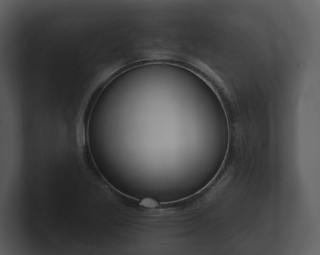 X0000103151269200808291422