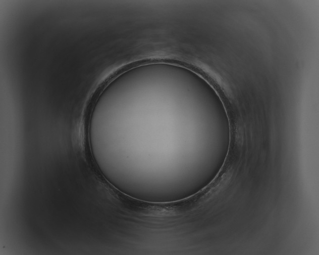 X0000103151270200808291422