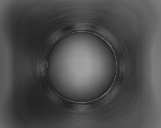 X0000103151273200808291422