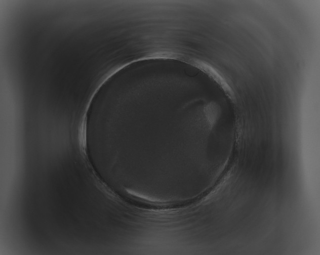 X0000103151276200808291422