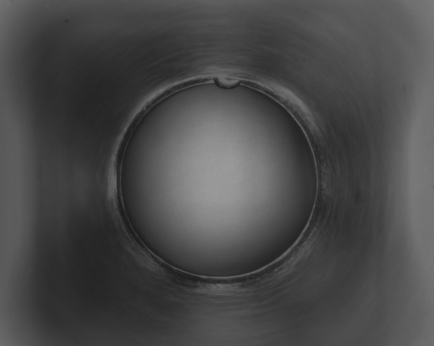 X0000103151280200808291422