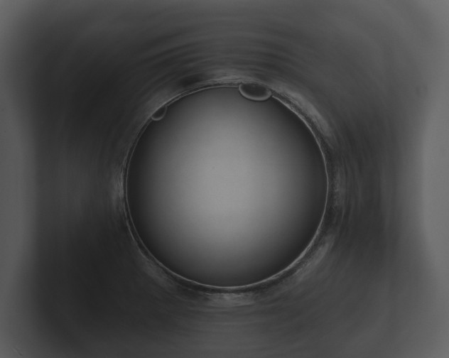 X0000103151281200808291422