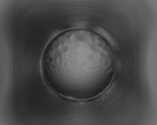 X0000103151283200808291422