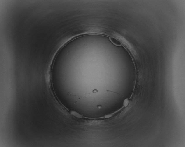 X0000103151284200808291422