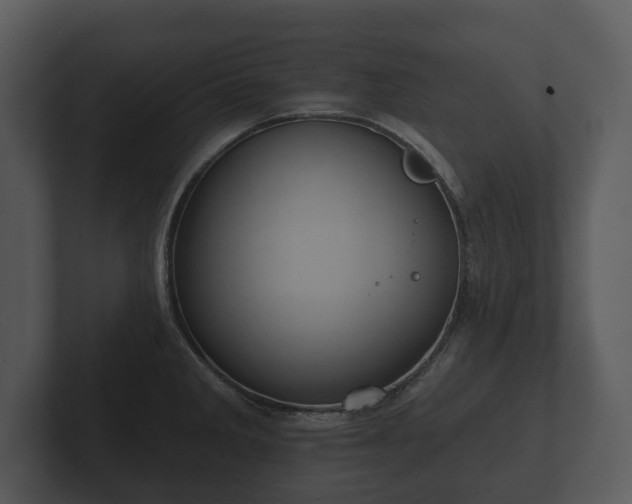 X0000103151285200808291422