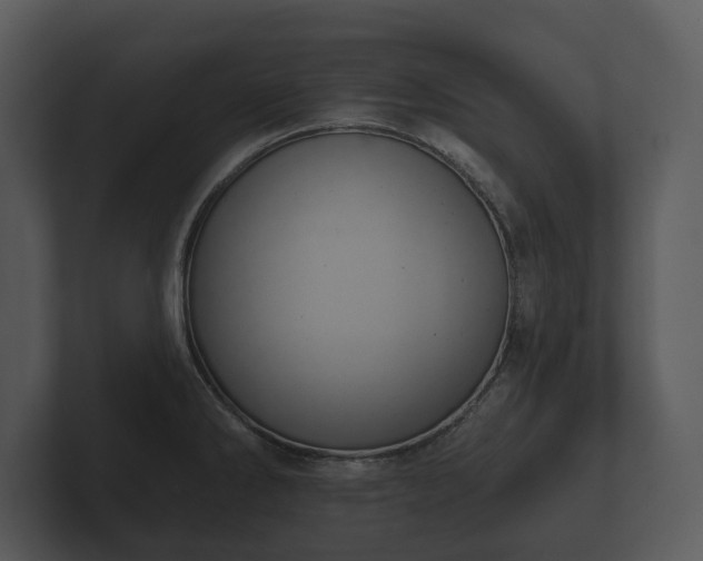 X0000103151286200808291422