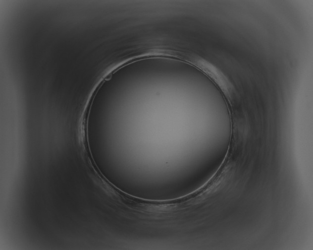 X0000103151292200808291422