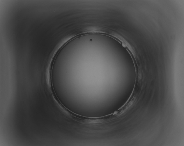 X0000103151293200808291422