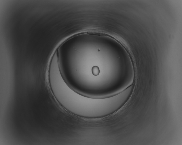 X0000103151296200808291422