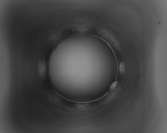 X0000103151299200808291421