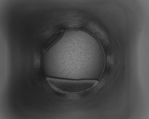 X0000103151300200808291421