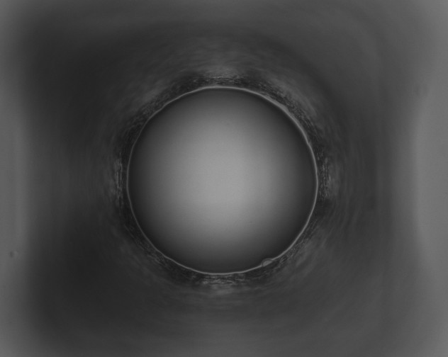 X0000103151301200808291422