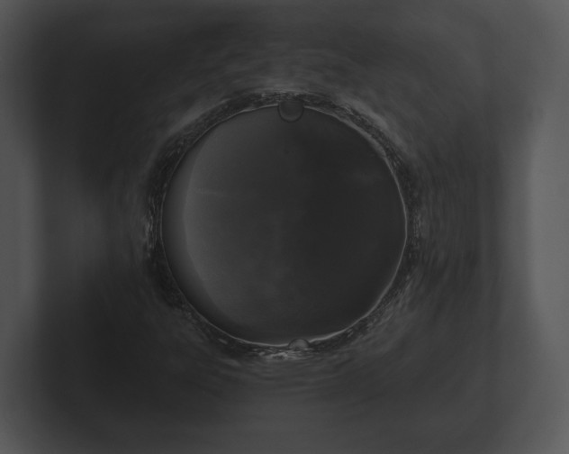 X0000103151303200808291422