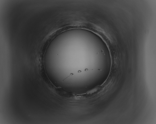 X0000103151304200808291422