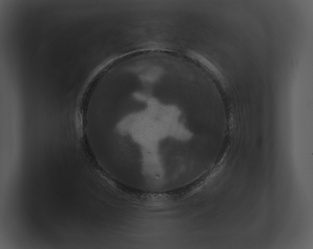 X0000103151310200808291422