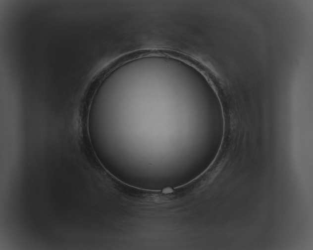 X0000103151311200808291422