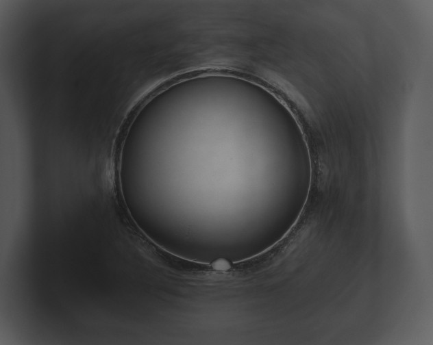 X0000103151316200808291422