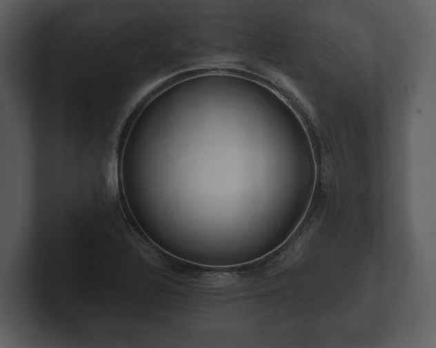 X0000103151320200808291422