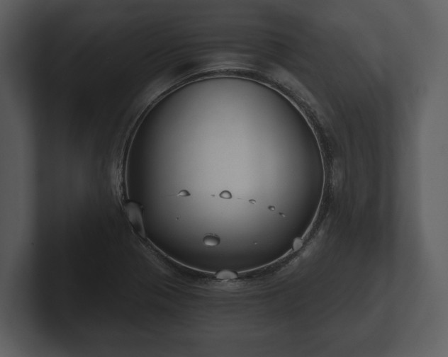 X0000103151321200808291422