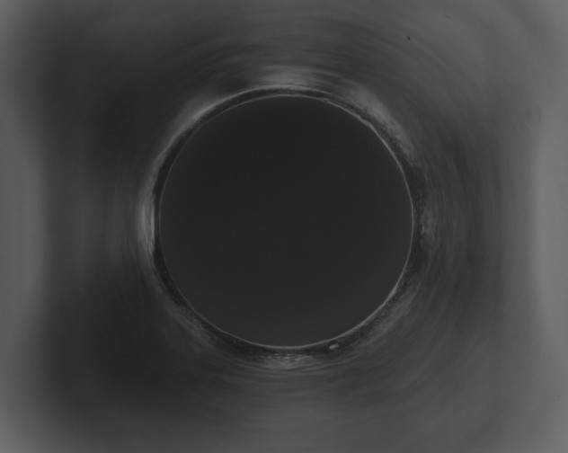 X0000103151323200808291422