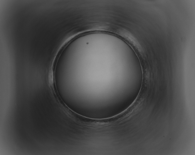 X0000103151324200808291422