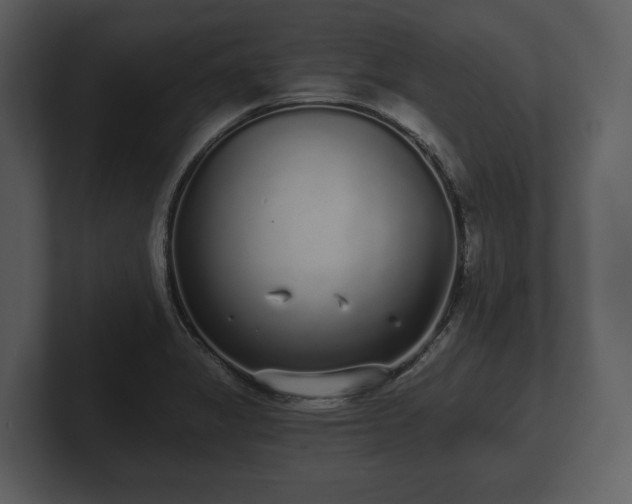 X0000103151325200808291422