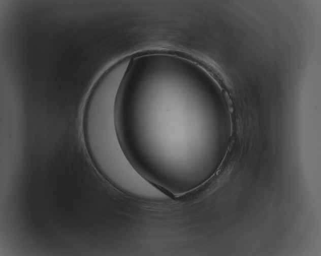 X0000103151326200808291422