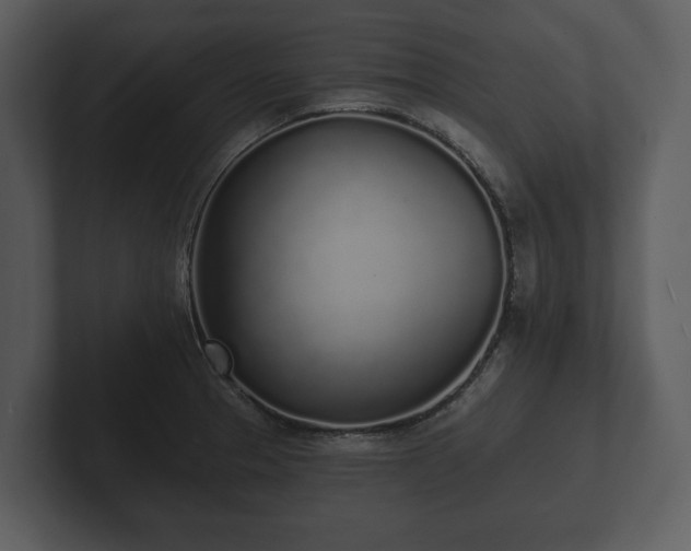 X0000103151329200808291422