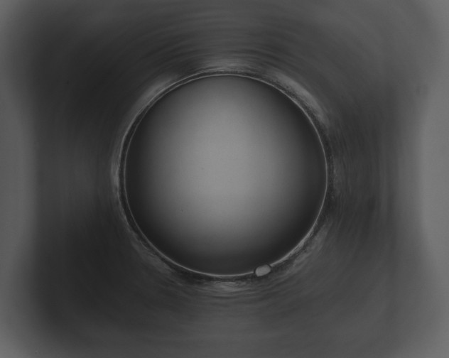 X0000103151330200808291422