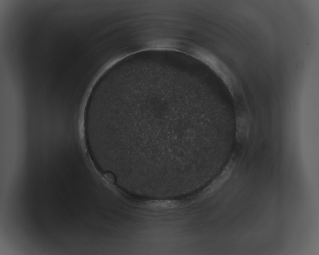 X0000103151331200808291422