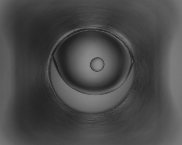 X0000103151332200808291422