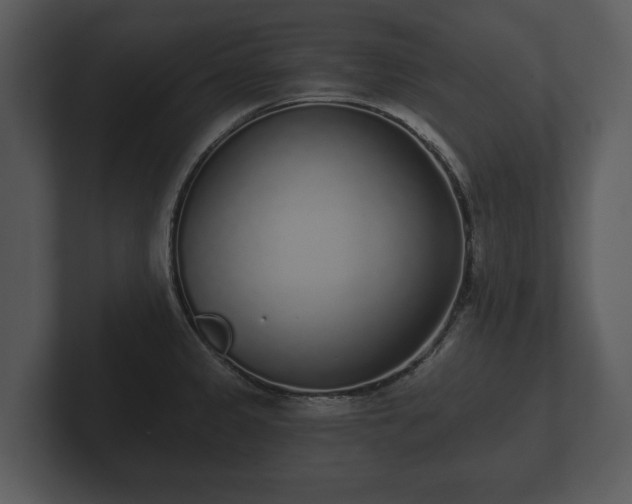 X0000103151333200808291422