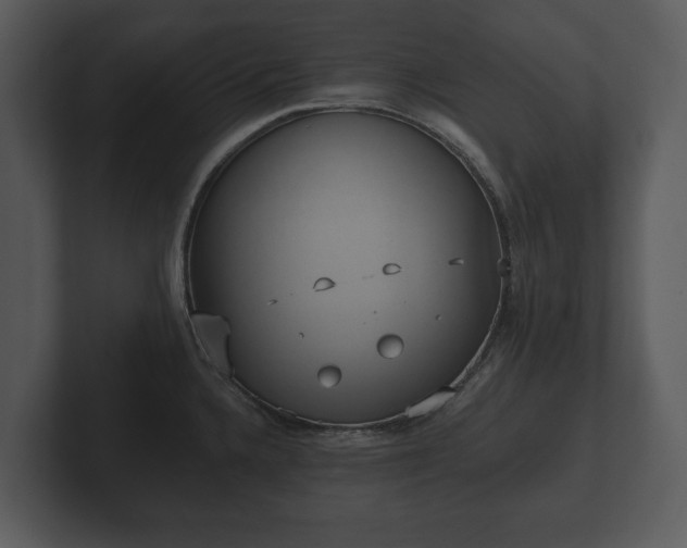 X0000103151336200808291422