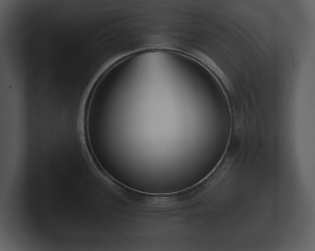 X0000103151339200808291422