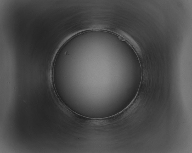 X0000103151340200808291422