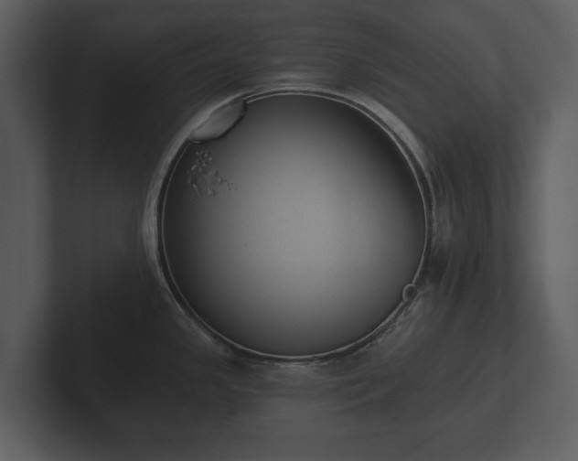 X0000103151341200808291422