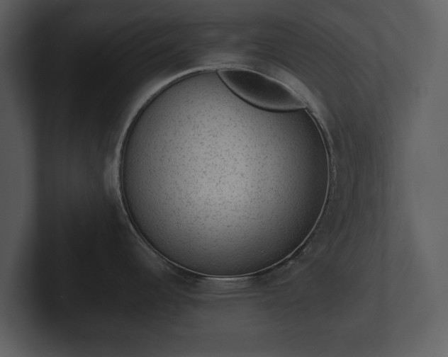 X0000103151344200808291422