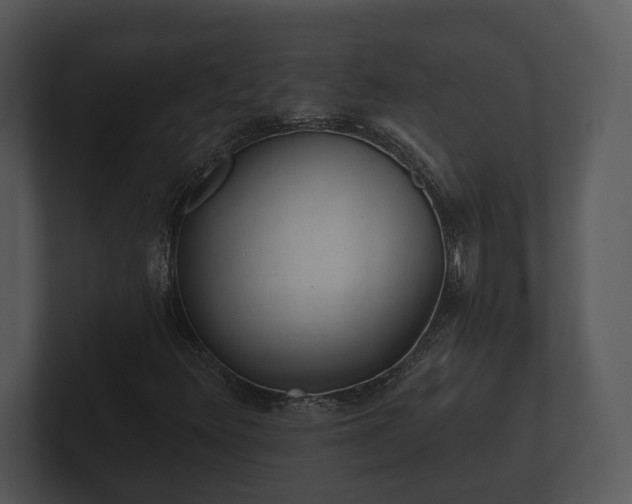 X0000103151348200808291421