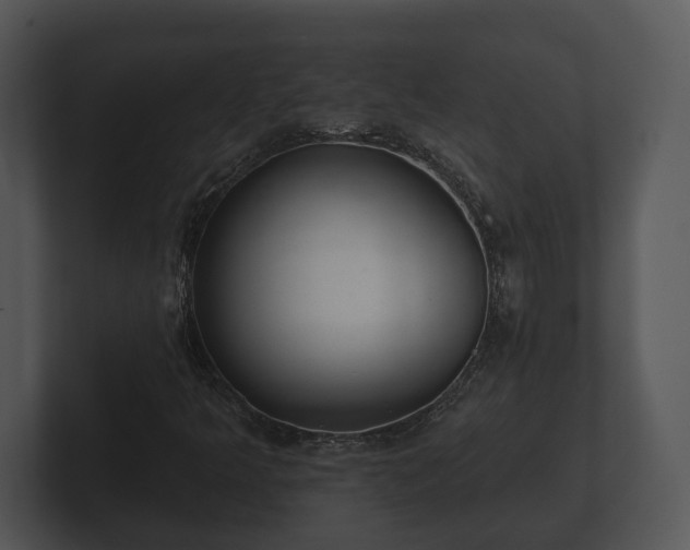 X0000103151349200808291421