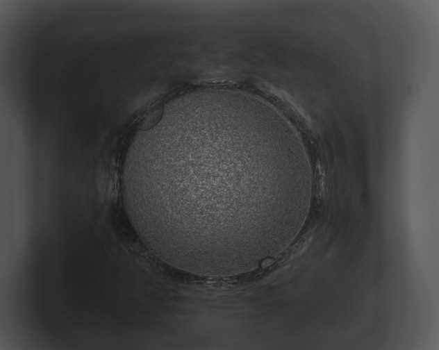 X0000103151350200808291421