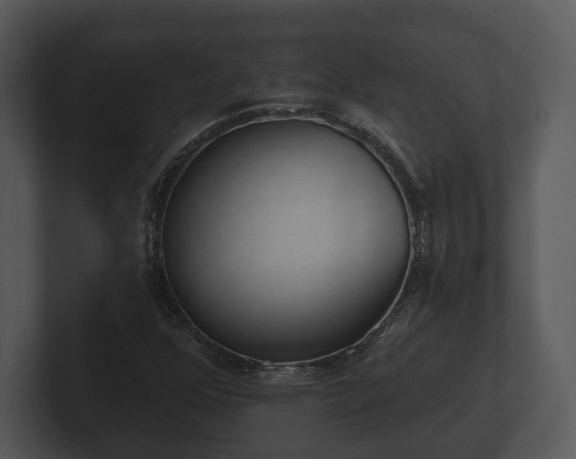 X0000103151352200808291421